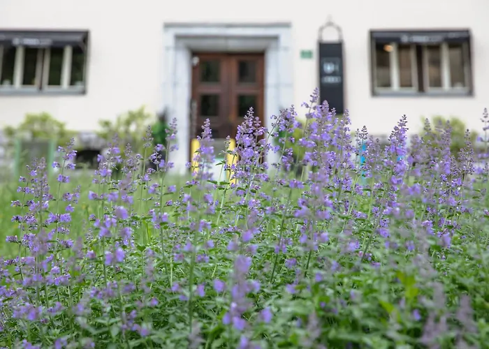 Urban Boutique Center Hotel